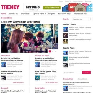 MyThemeShop Trendy WordPress Theme 1