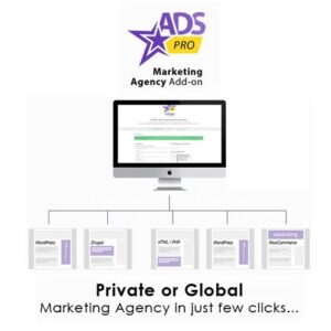 Ads Pro Add On WordPress Marketing Agency